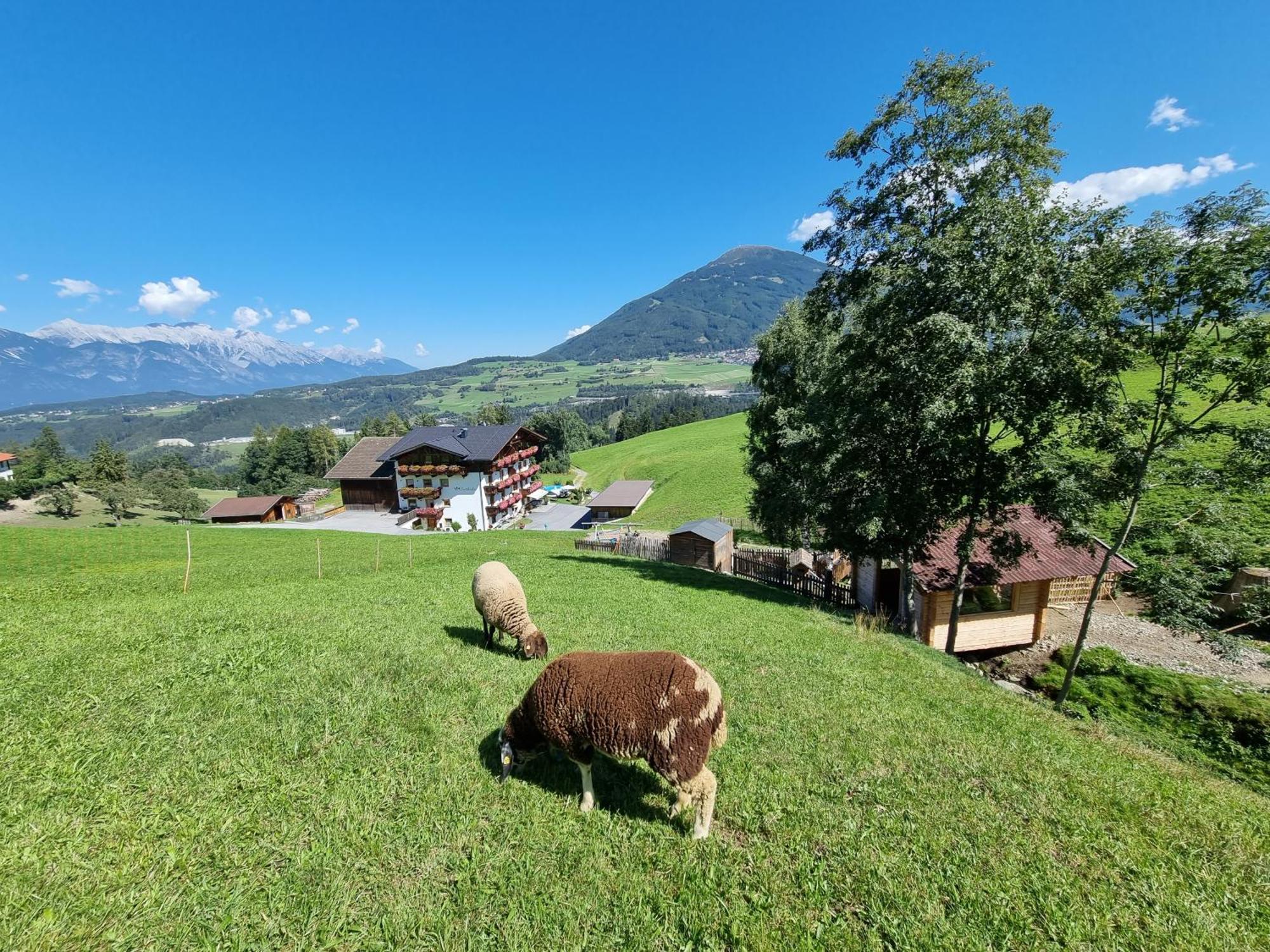 Appartment Sattlerhof Mutters Zewnętrze zdjęcie