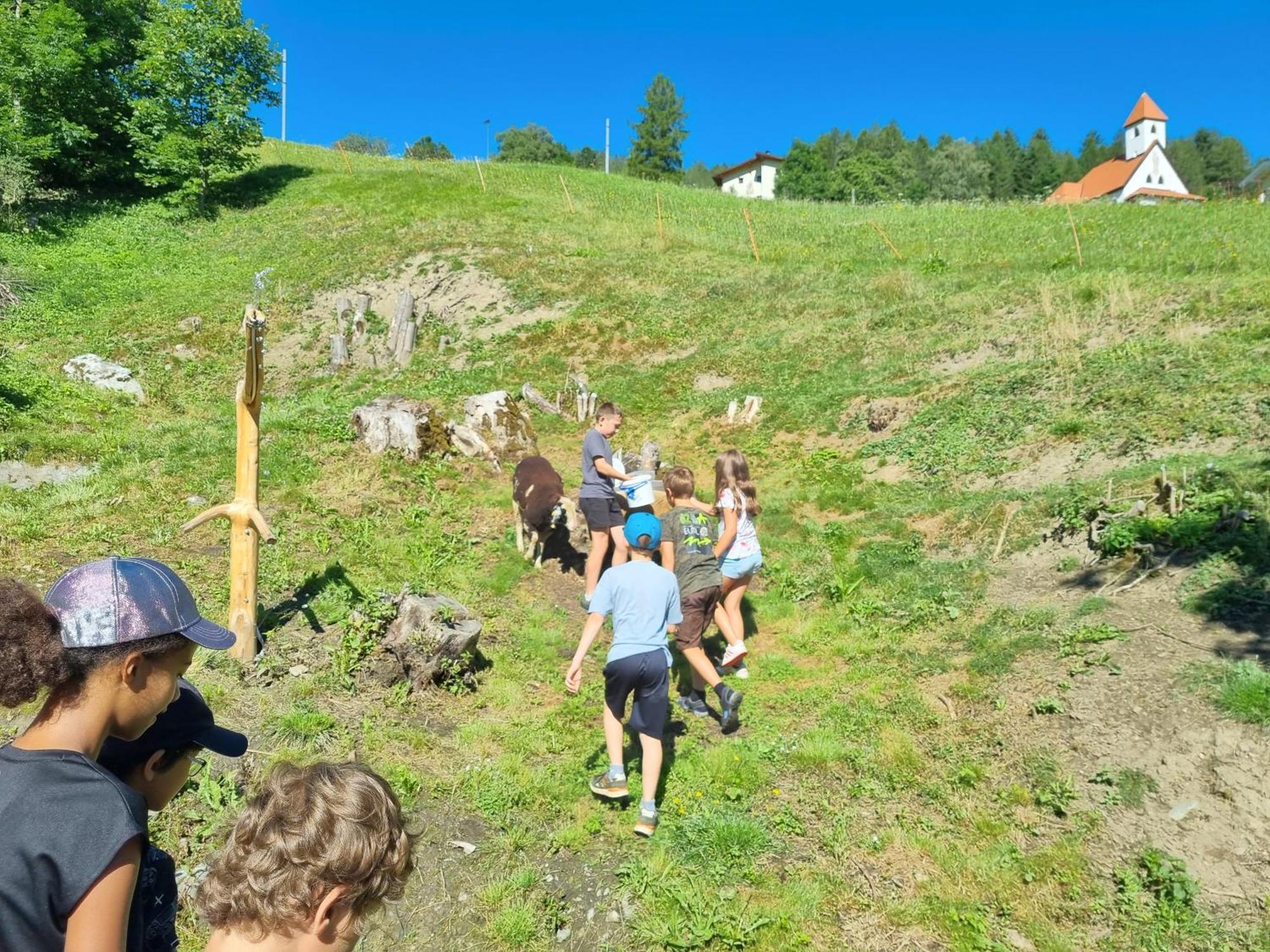 Appartment Sattlerhof Mutters Zewnętrze zdjęcie